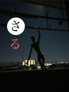 さる